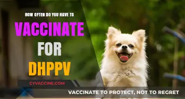 Understanding DHppv Vaccination Frequency for Optimal Pet Health and Protection