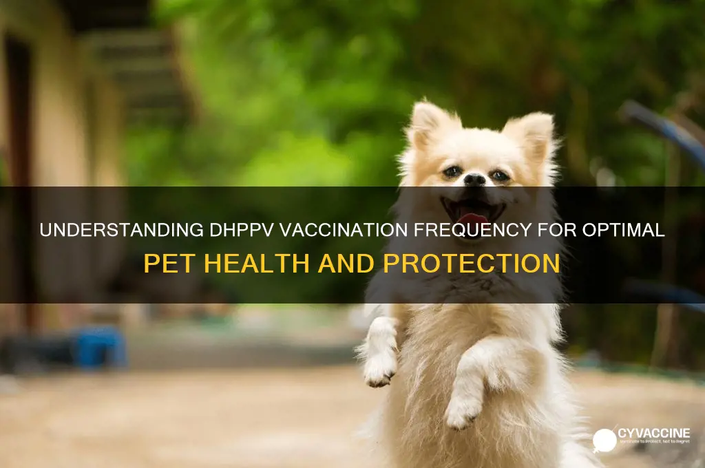 how often do you have to vaccinate for dhppv