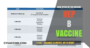 Hepatitis B Vaccine Schedule: How Often Should You Get It?