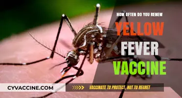 Yellow Fever Vaccine Renewal: How Often Should You Get It?