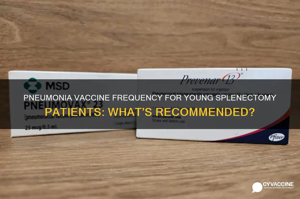 how often do you repeat pneumonia vaccine young patients splenectomy