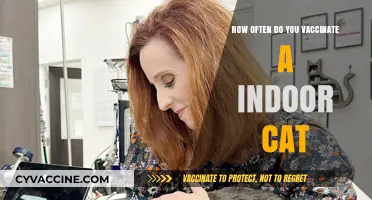 Indoor Cat Vaccination Schedule: Essential Guide for Pet Owners