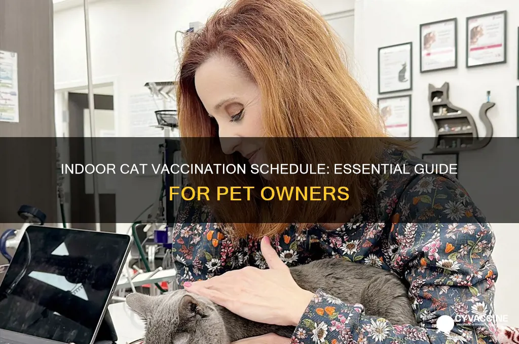how often do you vaccinate a indoor cat