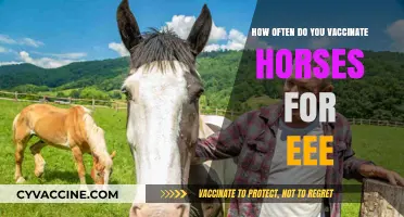 EEE Vaccination Schedule: How Often Should Horses Be Vaccinated?
