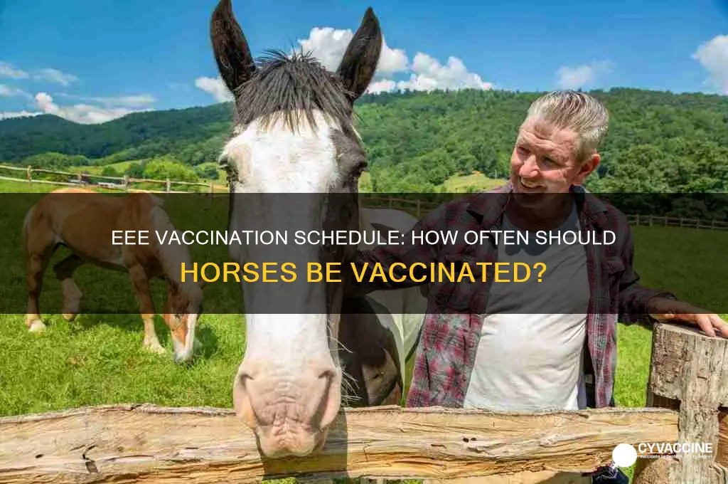 how often do you vaccinate horses for eee