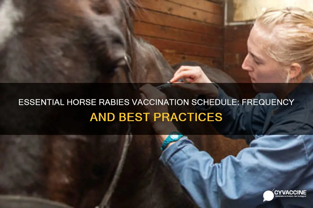 how often do you vaccinate horses for rabies