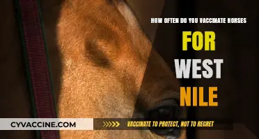 Optimal West Nile Vaccination Schedule for Horses: Expert Recommendations