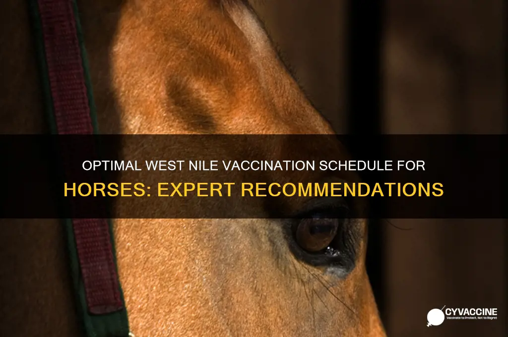 how often do you vaccinate horses for west nile