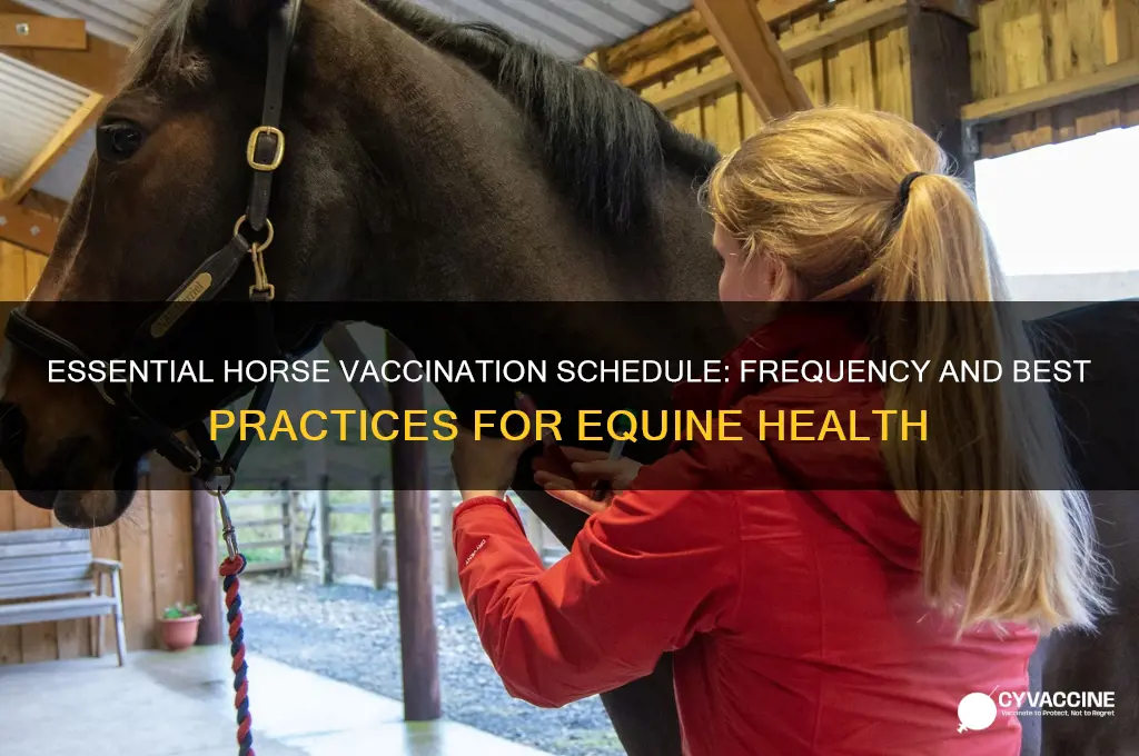 how often do you vaccinate horses
