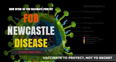 Optimal Poultry Vaccination Schedule for Newcastle Disease Prevention