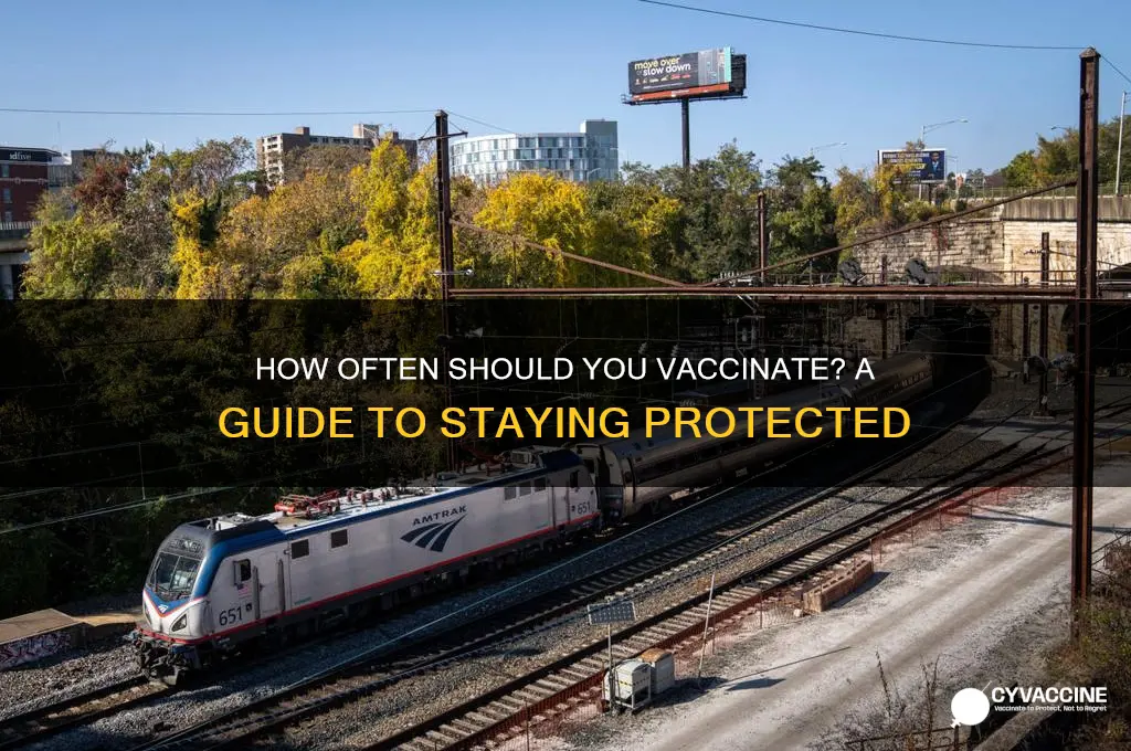 how often do you vaccinate yourself