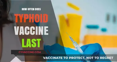Typhoid Vaccine Duration: How Long Does Protection Last?