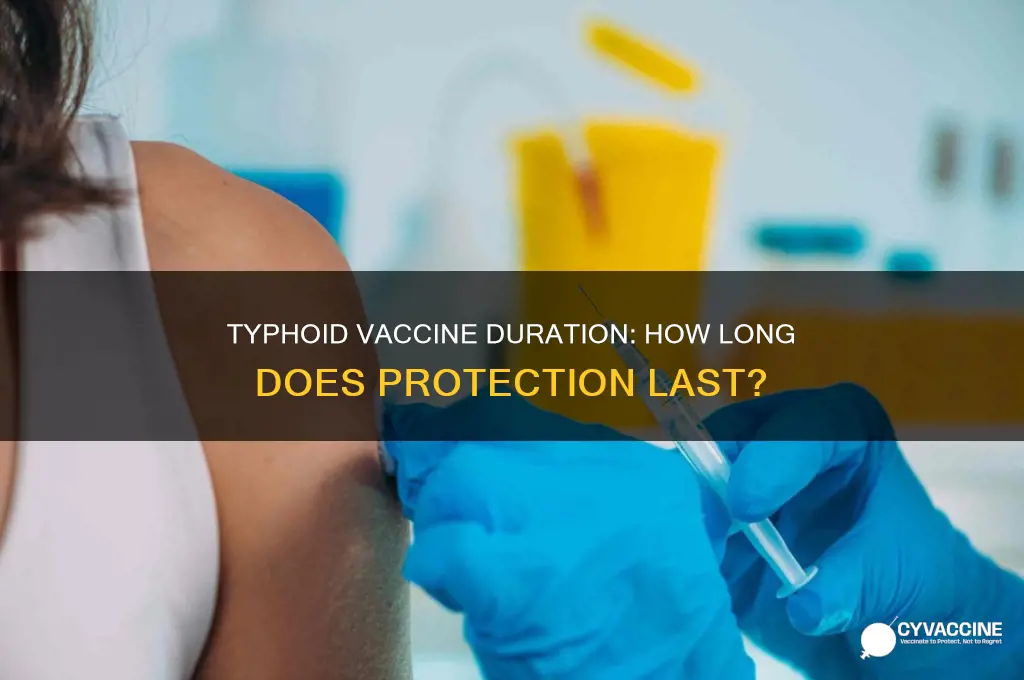 how often does typhoid vaccine last