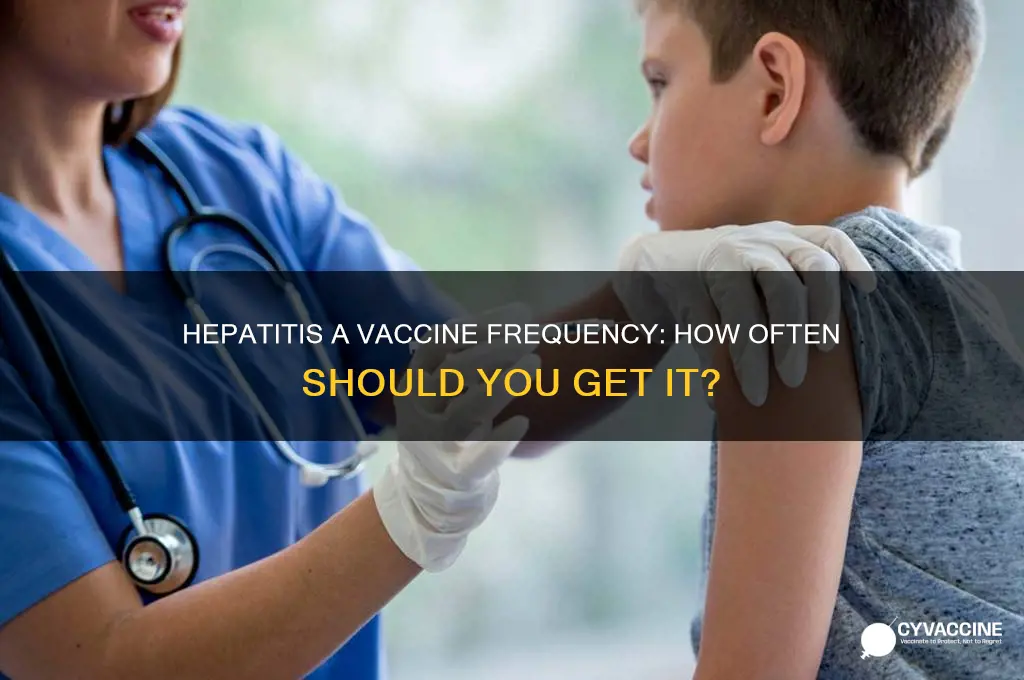 how often for hep a vaccine