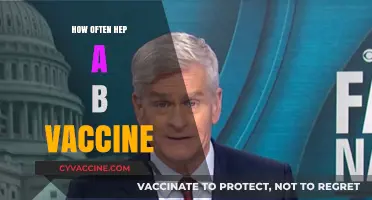 Hepatitis A & B Vaccination Frequency: Essential Timing Guide