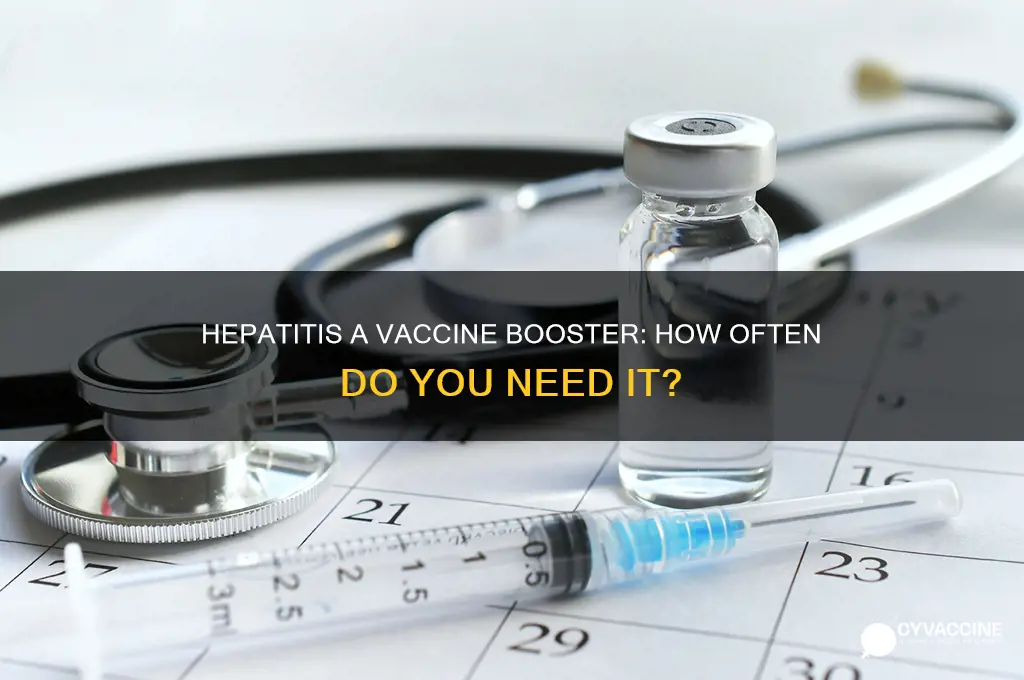 how often hep a vaccine booster