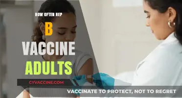 Hepatitis B Vaccine for Adults: Optimal Frequency and Timing Explained