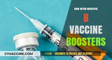 Hepatitis B Vaccine Boosters: Timing and Necessity Explained