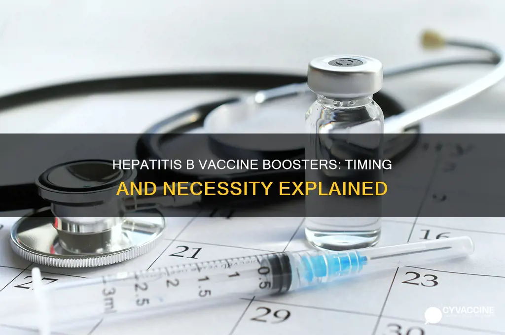 how often hepatitis b vaccine boosters