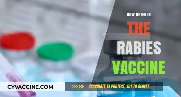 Rabies Vaccine Frequency: How Often Should You Get It?