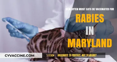 Maryland Cat Rabies Vaccination Schedule: Frequency and Requirements Explained