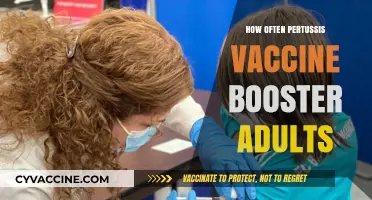 Pertussis Vaccine Booster: How Often Do Adults Need It?