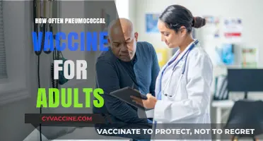 Pneumococcal Vaccine Frequency: Adult Immunization Schedule Explained