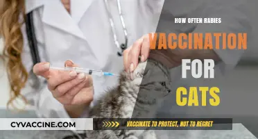 How Often Should Cats Get Rabies Vaccination: A Guide