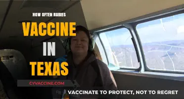 Texas Rabies Vaccine Schedule: How Often Should Pets Be Vaccinated?
