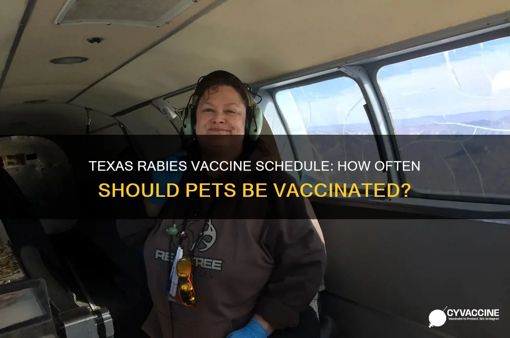 how often rabies vaccine in texas