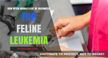 Feline Leukemia Vaccination Schedule: How Often Should Your Cat Be Vaccinated?