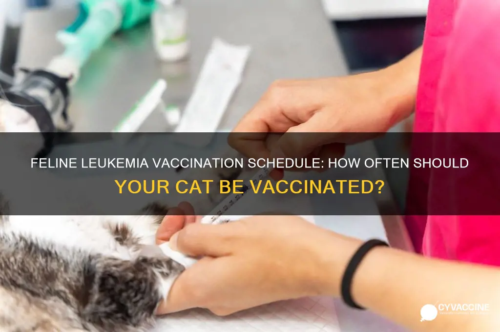 how often should a cat be vaccinated for feline leukemia