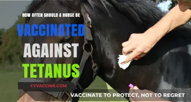 Optimal Tetanus Vaccination Frequency for Horses: Expert Recommendations