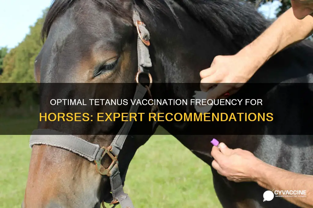 how often should a horse be vaccinated against tetanus