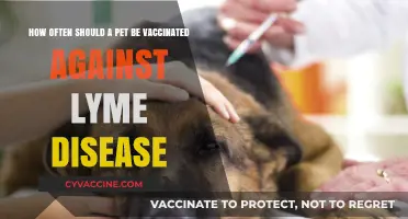 Lyme Disease Vaccination for Pets: Optimal Frequency and Timing Explained