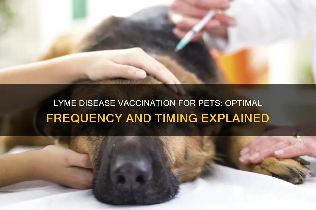 how often should a pet be vaccinated against lyme disease