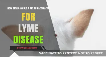 Pet Lyme Disease Vaccinations: How Often?