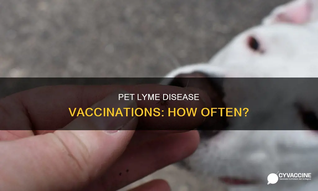how often should a pet be vaccinated for lyme disease