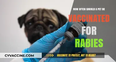 Rabies Vaccination Frequency: Essential Guidelines for Pet Owners