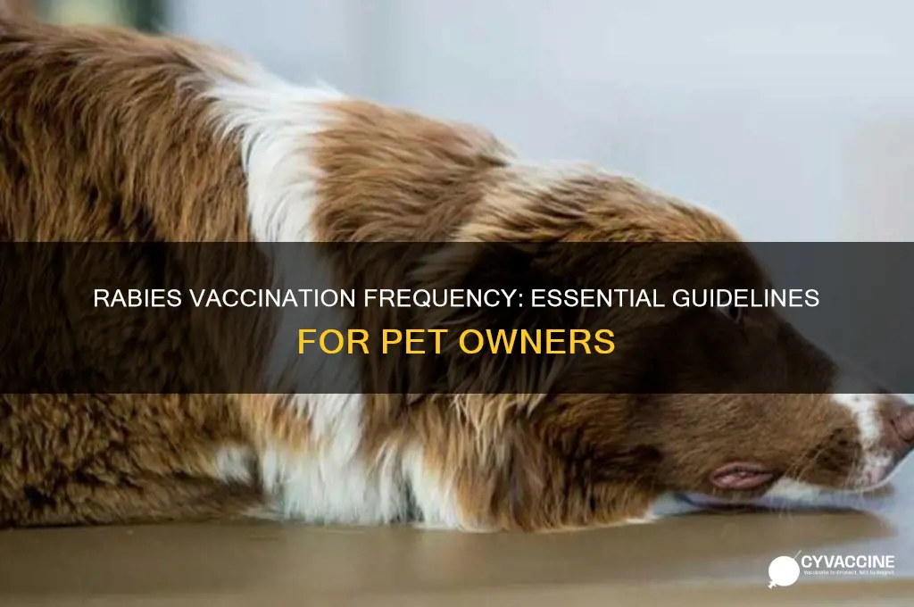 how often should a pet be vaccinated for rabies