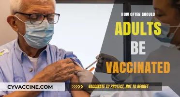 Adult Vaccination Frequency: Essential Guidelines for Lifelong Health Protection
