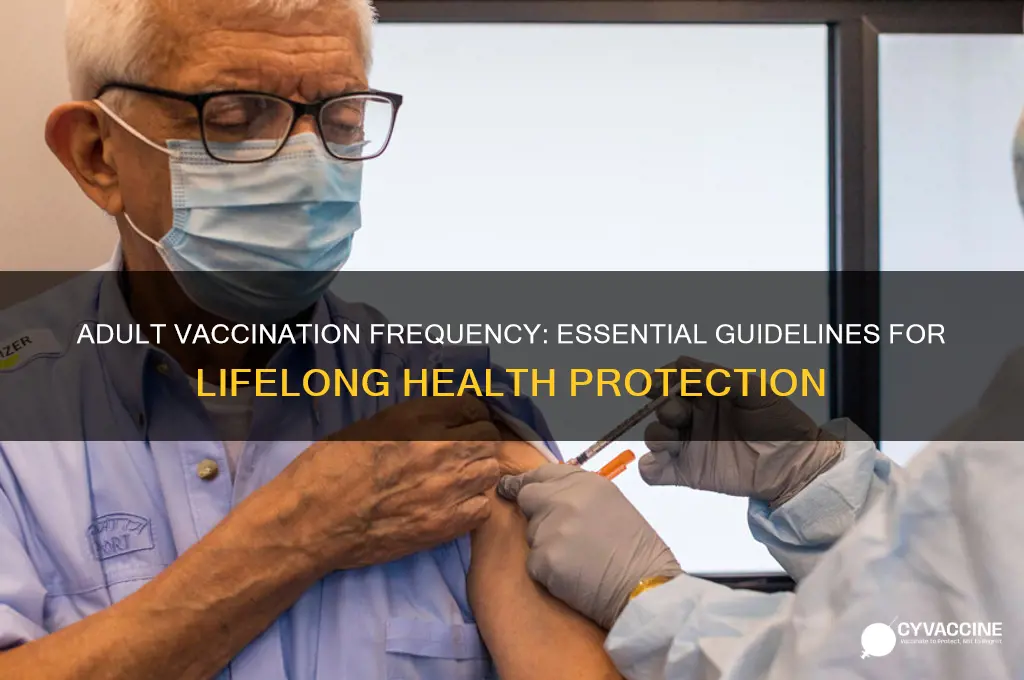 how often should adults be vaccinated