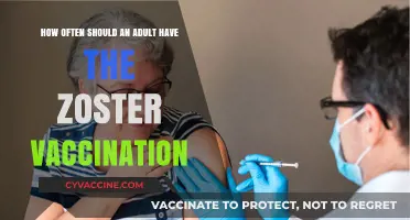 Shingles Vaccine: Optimal Timing for Adult Immunization and Protection