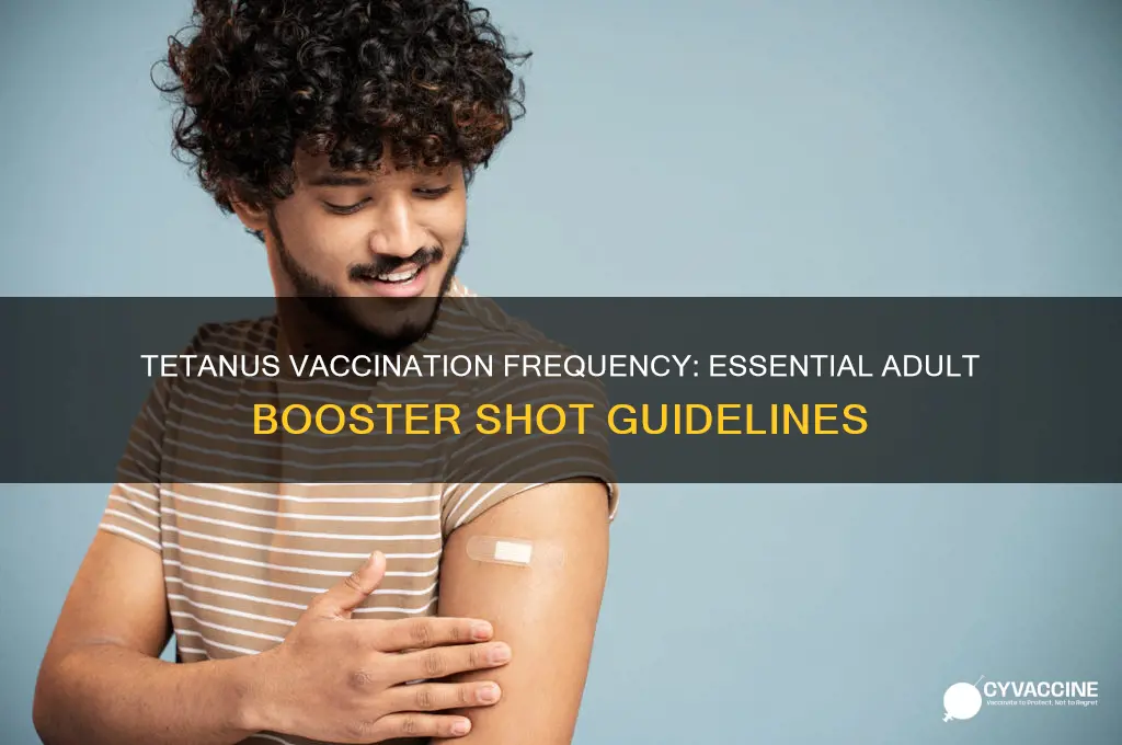 how often should an adult receive a tetnus vaccination