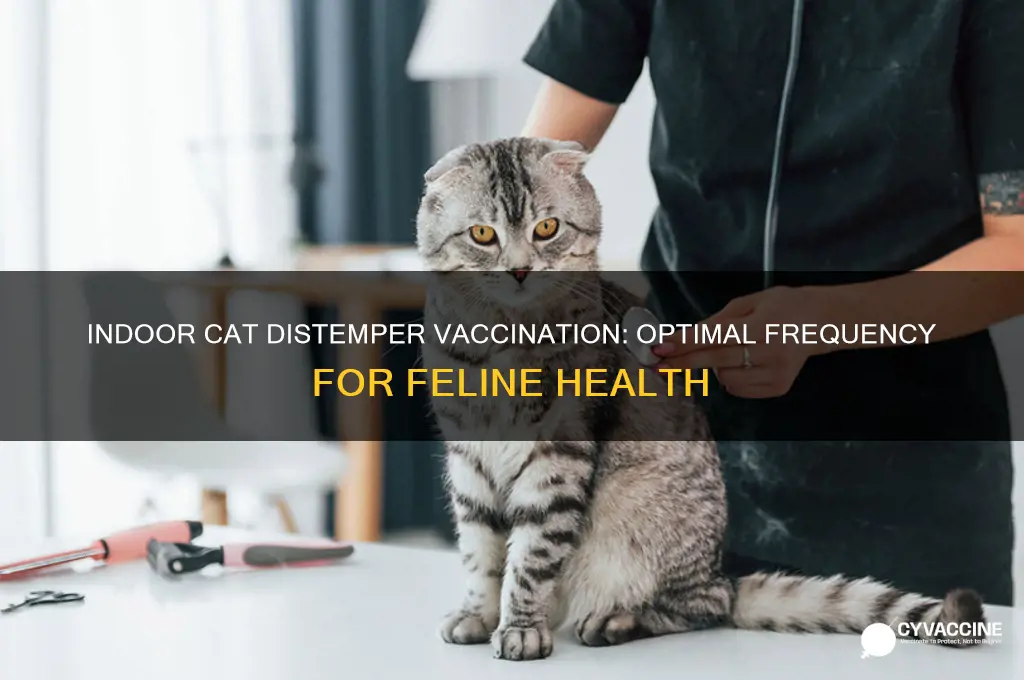 how often should an indoor cat be vaccinated for distemper