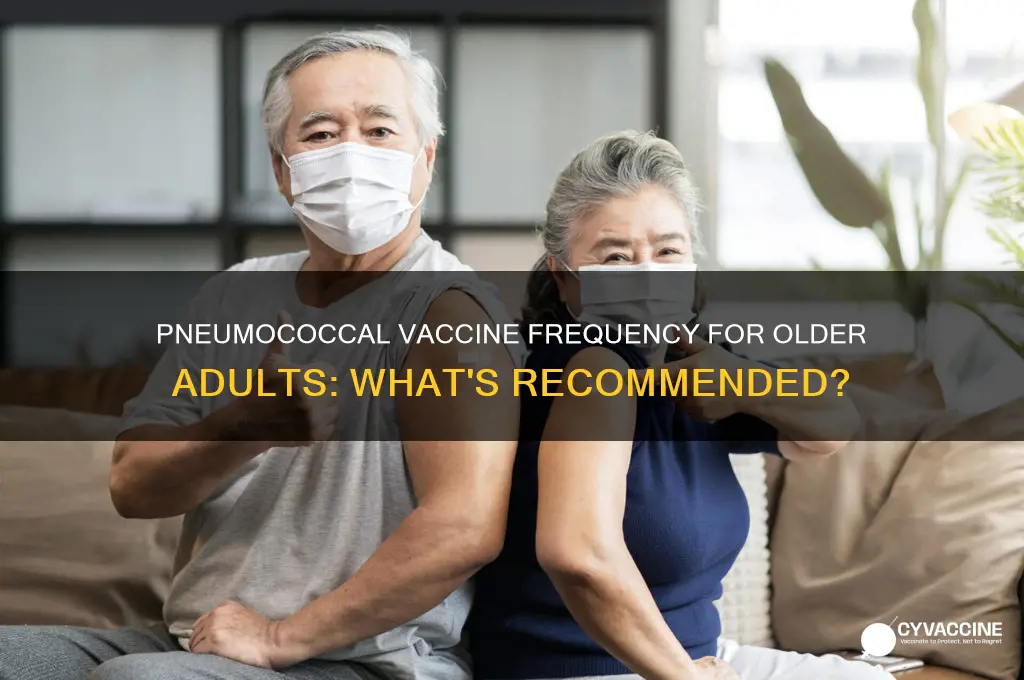 how often should an older adult receive a pneumococcal vaccine