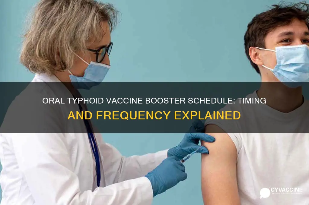 how often should oral typhoid vaccine be boostered