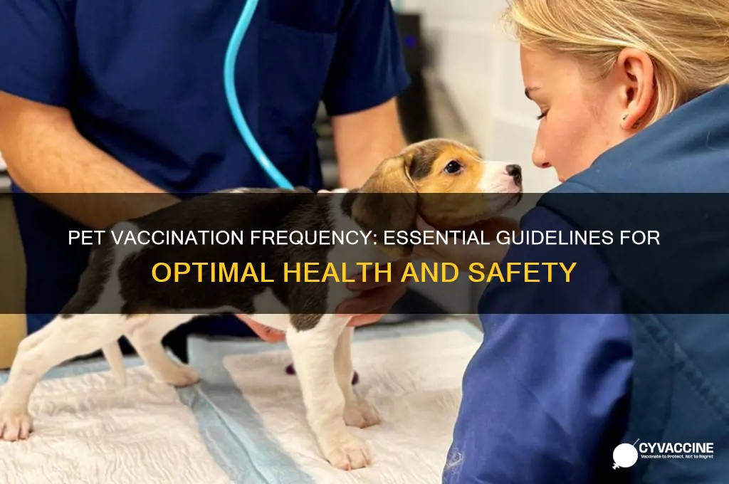 how often should pets be vaccinated