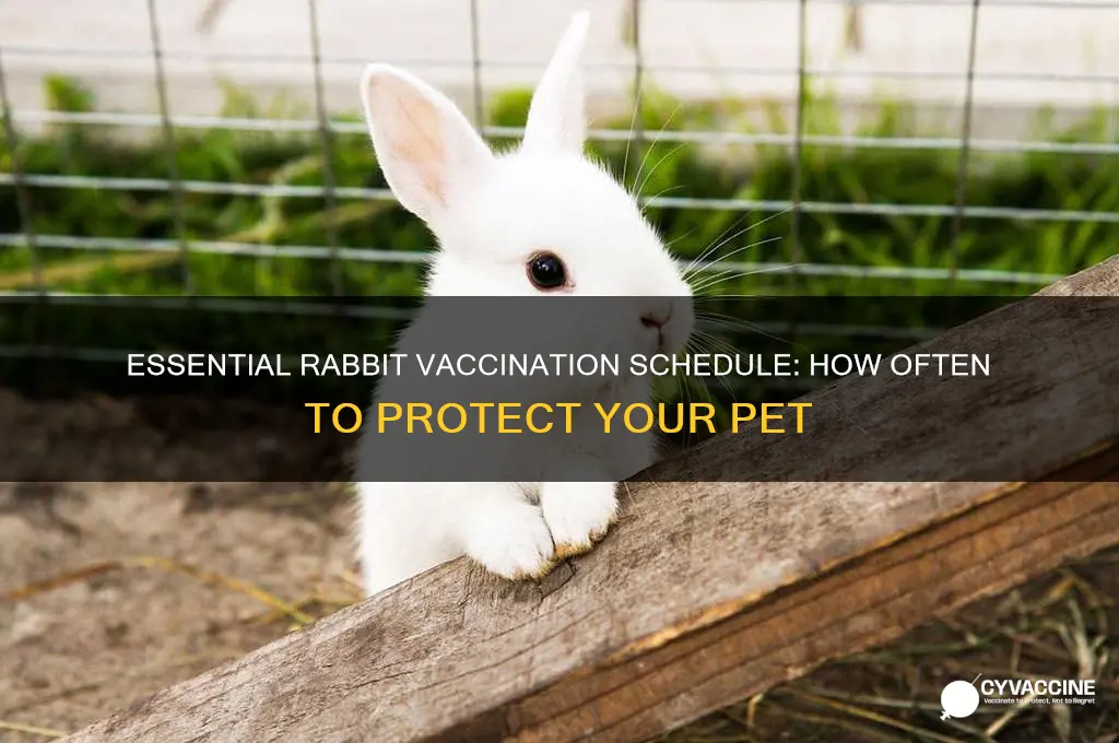 how often should rabbits be vaccinated