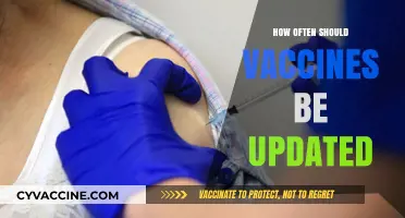 Vaccine Updates: How Often Should They Be Revised for Optimal Protection?